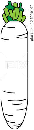 フラットカラーで描かれた大根のイラスト フラットカラーで描かれた大根のイラスト 127010169