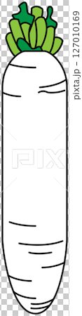 フラットカラーで描かれた大根のイラスト フラットカラーで描かれた大根のイラスト 127010169
