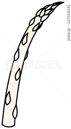 フラットカラーで描かれたアスパラガスのイラスト 127010281