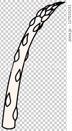 フラットカラーで描かれたアスパラガスのイラスト 127010281