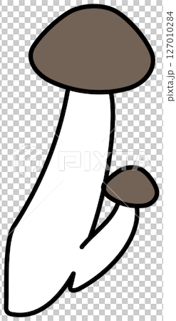 以平面顏色繪製的 Shimeji 蘑菇插圖 127010284