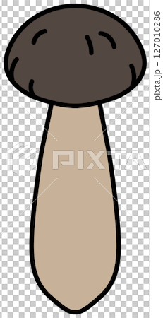 フラットカラーで描かれたしめじのイラスト フラットカラーで描かれたしめじのイラスト 127010286