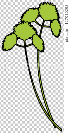 フラットカラーで描かれた三つ葉のイラスト フラットカラーで描かれた三つ葉のイラスト 127010292