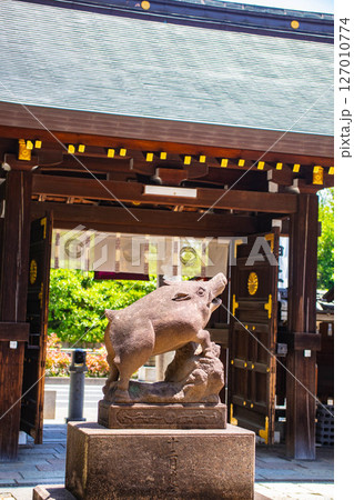 【京都風景】護王神社 心強い足腰の守護神 【京都風景】護王神社 心強い足腰の守護神 127010774