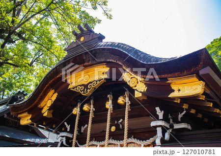 【京都風景】護王神社　心強い足腰の守護神 127010781