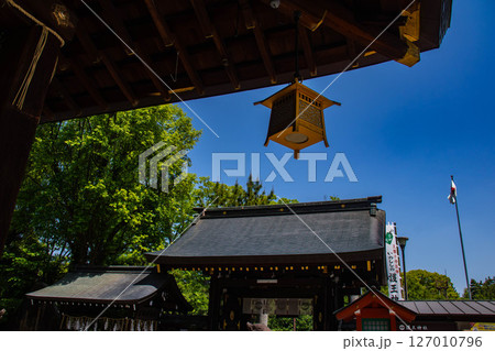 【京都風景】護王神社　心強い足腰の守護神 127010796