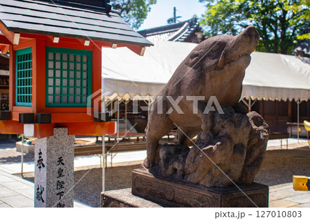 【京都風景】護王神社　心強い足腰の守護神 127010803