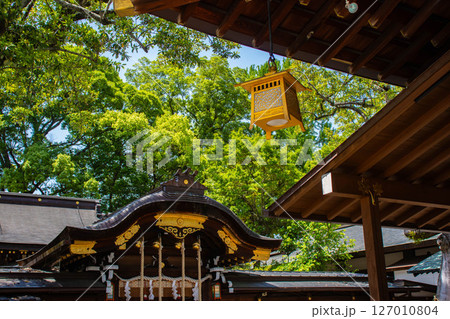 【京都風景】護王神社　心強い足腰の守護神 127010804