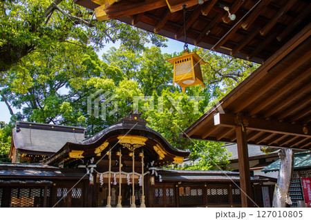 【京都風景】護王神社 心強い足腰の守護神 【京都風景】護王神社 心強い足腰の守護神 127010805