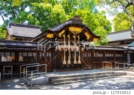【京都風景】護王神社　心強い足腰の守護神 127010812