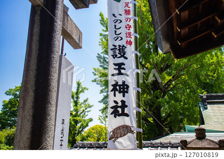 【京都風景】護王神社　心強い足腰の守護神 127010819