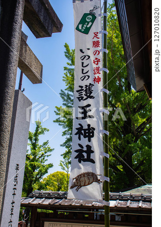 【京都風景】護王神社 心強い足腰の守護神 【京都風景】護王神社 心強い足腰の守護神 127010820
