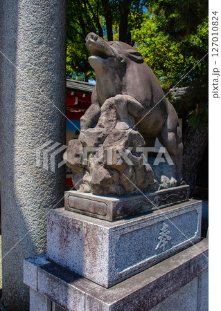 【京都風景】護王神社　心強い足腰の守護神 127010824