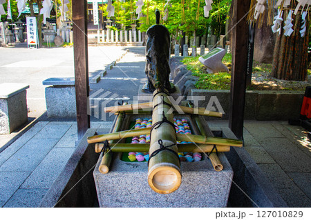 【京都風景】護王神社 心強い足腰の守護神 【京都風景】護王神社 心強い足腰の守護神 127010829