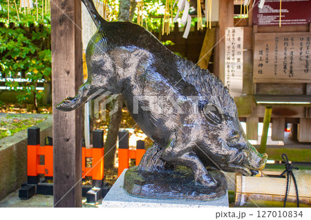 【京都風景】護王神社　心強い足腰の守護神 127010834