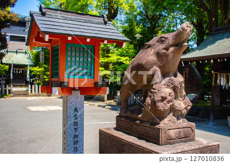 【京都風景】護王神社 心強い足腰の守護神 【京都風景】護王神社 心強い足腰の守護神 127010836