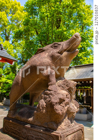 【京都風景】護王神社　心強い足腰の守護神 127010837