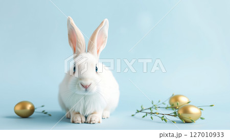 White fluffy rabbit sits on blue isolated background among traditional eggs symbolizing the holiday White fluffy rabbit sits on blue isolated background among traditional eggs symbolizing the holiday 127010933