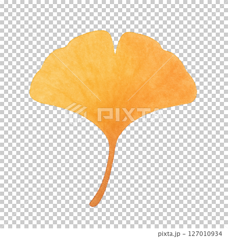 【秋】イチョウのイラスト 127010934