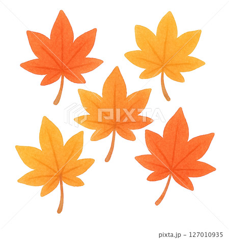 【秋】紅葉のイラスト/タイプ2 127010935