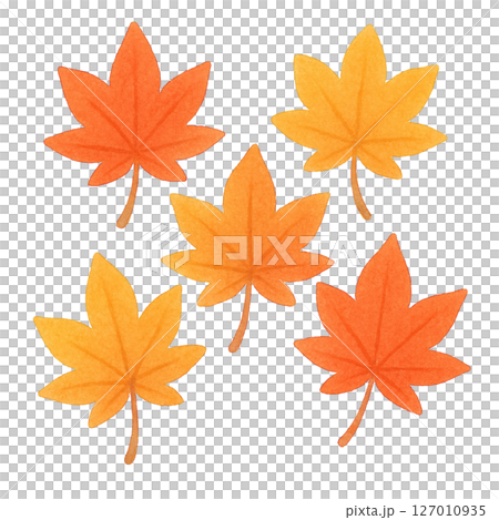 【秋】紅葉のイラスト/タイプ2 127010935
