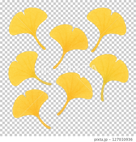 【秋】イチョウのイラスト/タイプ2 127010936