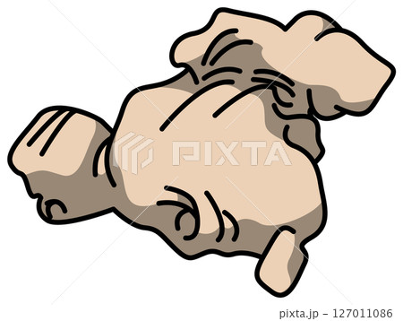 色付きの丸ごとショウガのイラスト 色付きの丸ごとショウガのイラスト 127011086