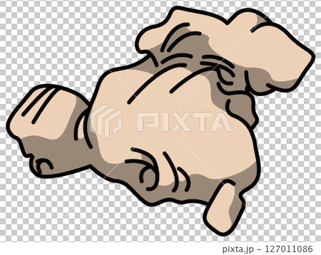 色付きの丸ごとショウガのイラスト 色付きの丸ごとショウガのイラスト 127011086