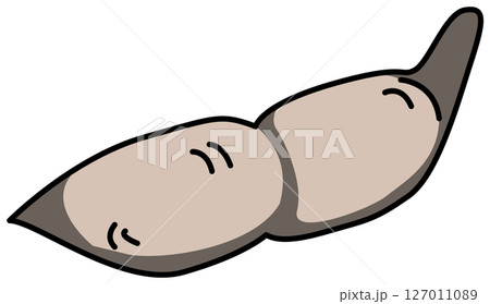 色付きの丸ごと枝豆のイラスト 127011089