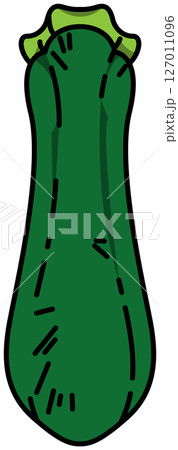 色付きの丸ごとズッキーニのイラスト 127011096