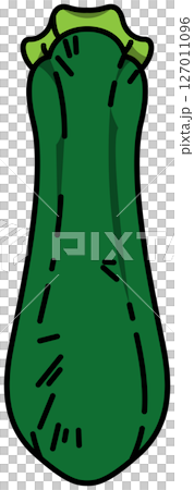 Colored illustration of a whole zucchini 127011096