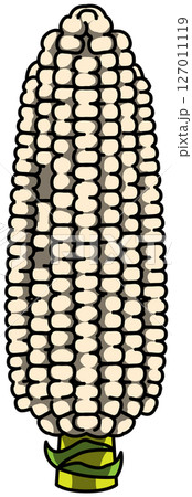 色付きの丸ごととうもろこしのイラスト 127011119
