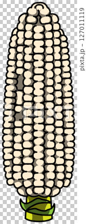 色付きの丸ごととうもろこしのイラスト 127011119
