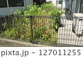 賃貸住宅の草ぼうぼうの専用庭 127011255