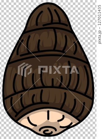 色付きの丸ごと里芋のイラスト 127011435
