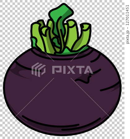 整個蘿蔔的彩色插圖 127011451