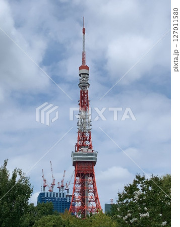 東京タワー 東京タワー 127011580