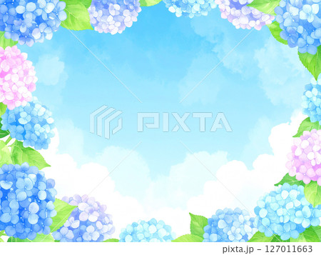 紫陽花　青空　梅雨明け 127011663