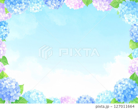 紫陽花　青空　梅雨明け 127011664