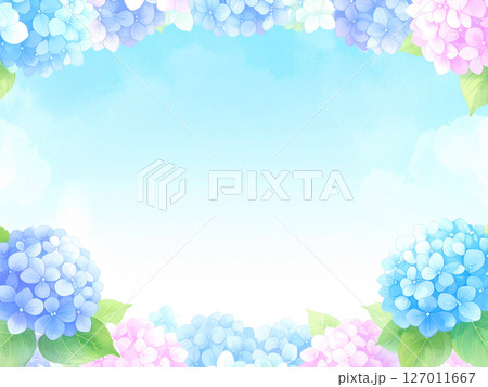 紫陽花　青空　梅雨明け 127011667