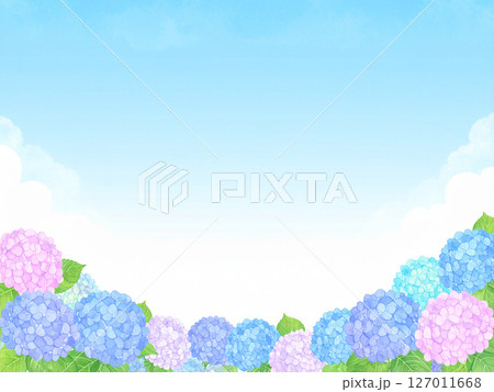紫陽花 青空 梅雨明け 紫陽花 青空 梅雨明け 127011668
