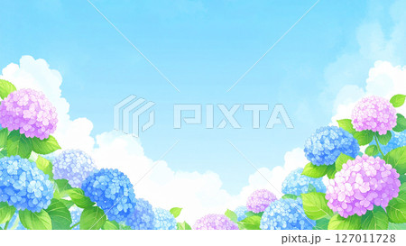 紫陽花　青空　梅雨明け 127011728