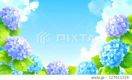 紫陽花　青空　梅雨明け 127011729