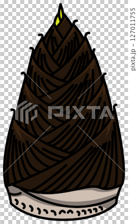 色付きの丸ごとたけのこのイラスト 色付きの丸ごとたけのこのイラスト 127011755
