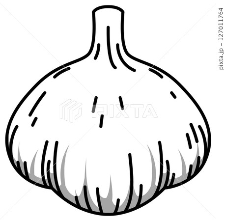 色付きの丸ごとにんにくのイラスト 127011764