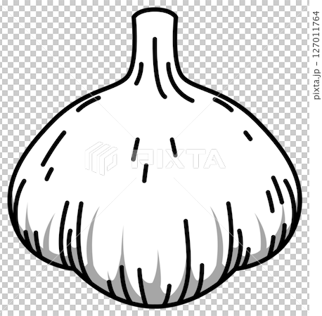 色付きの丸ごとにんにくのイラスト 127011764