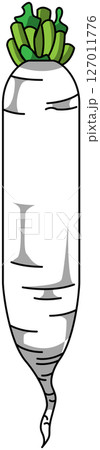 色付きの丸ごと大根のイラスト 127011776