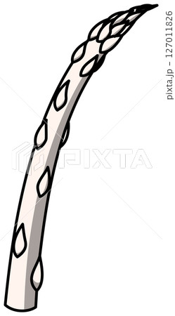 色付きの丸ごとアスパラガスのイラスト 127011826