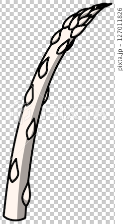 色付きの丸ごとアスパラガスのイラスト 127011826