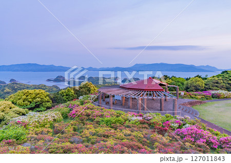 (長崎県)長串山公園(なぐしやま公園)のツツジと北九十九島 夜明け (長崎県)長串山公園(なぐしやま公園)のツツジと北九十九島 夜明け 127011843